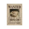 پوستر 9 عددی انیمه وان پیس One Piece Wanted